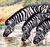 Zebras (Tile) 1 small