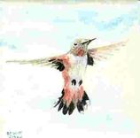 Hand Painted Ceramic Tiles:  Hummingbirds Of California 4 small