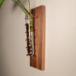 Propagation Vase - Walnut And Copper - Happy Together 3 small