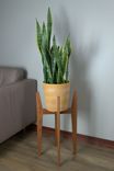 Mid-Century Modern Plant Stand 6 small