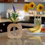 Will It Go Round In Circles Square Propagation Vase 4 small