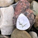 Coin Guitar Picks-Silver 1 small