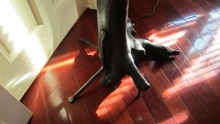 Custom Drift Wood Floor Lamp 2 small