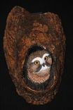 Hand Carved And Sculpted Owl 4 small