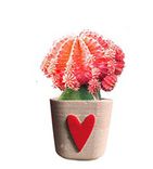 Concrete Planter With Heart 6 small