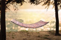 Wine Barrel Hammock 2 small