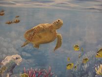 Coral Reef Mural 6 small