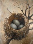 "Three" - Fine Art Giclee Print Of A Bird's Nest On Gallery Wrapped Canvas Available In Two Sizes 1 small