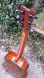 Handmade Guitar's By Ike Wilhelm 5 small