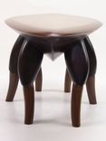 Leafhopper Coffee Table 4 small