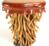 Jellyfish' Table 1 small