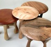 Mushroom' Stools 1 small