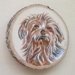 Pet Portrait On Rustic Hardwood Live Edge Wood Slices 3 small