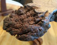 Rare Chestnut Root Burl And Sapele Custom Made Side Tables Modern Rustic Chic 5 small