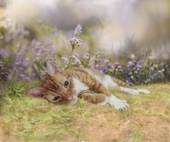 Custom Pet Portrait Painting On Canvas Or Watercolor Paper 7 small