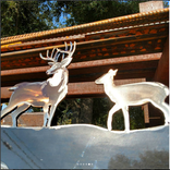 3' X 5' Custom Wildlife Address Panel 2 small
