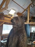 ** Example Piece ** Six Foot Tall Grizzly Bear Chainsaw Carving 1 small