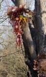 Lost Trees...Reborn' | Custom Chandeliers & Glass Art 3 small