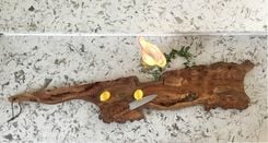 Functional Or Decorative Artwork Statement Showpiece & Charcuterie Board 5 small