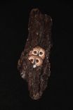 Wood Carving Owl Wall Art 2 small