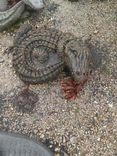 Alligators We Make More To Come Read The Descripition! 4 small