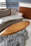 Ellipse Cut Live Edge Coffee Table 3 small