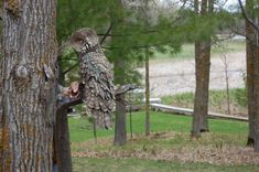 Bronze Sculpture, Great Grey Owl 4 small