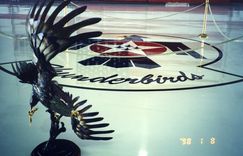 Metal Sculpture - Eagle For Us Thunderbirds 1 small