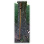 Shorter Fashion Canes 3 small