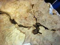 Round Live Edge Maple Burl Table 5 small