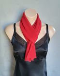 Red Chiffon Scarf 6 small