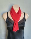 Red Chiffon Scarf 1 small