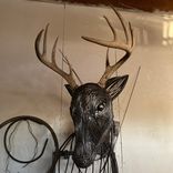 Whitetail Shoulder Mount 2 small