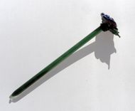 Glass Rose Long Stemmed Flower Forever Untamed Rose Hand Blown Amber Purple 2 small