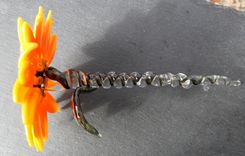 Black Eyed Susan, Lampwork Hand Blown Glass Flowers, Spring Daisies Sun Flower, Boro Sra 6 small