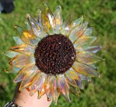 Glass Sun Flower, Hand Blown And Gorgeous ! 3 small