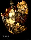 Buckeye Burl Lidded Finial Hollow Vessel 3 small