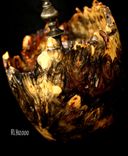 Buckeye Burl Lidded Finial Hollow Vessel 4 small