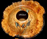 Alligator Juniper Burl Hollow Vessel W/Finial Top 3 small
