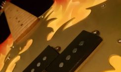 Custom Bass 8 small