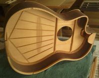 8 Nylon Stringed, Acoustic/Electric With Midi 1 small