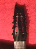 8 Nylon Stringed, Acoustic/Electric With Midi 4 small