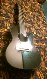 8 Nylon Stringed, Acoustic/Electric With Midi 6 small