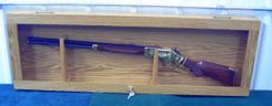Gun Display Case 1 small