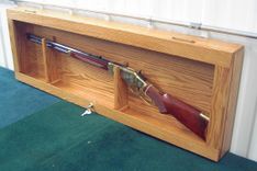 Gun Display Case 2 small