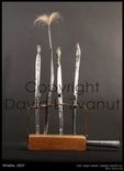 Organ Pipe Sculptures 3 small