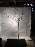 Red Bud Branch Floor Lamp 9 small
