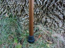 Walking Stick / Walking Cane - Curly Maple - Black Walnut - Ebony Spacer- 43 5 small