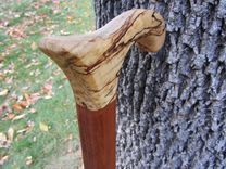 Walking Cane - Spalted Maple - Cherywood 6 small