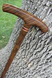 Walking Cane - Zebrawood - Walnut - Accent Ash And Bloodwood 37 4 small